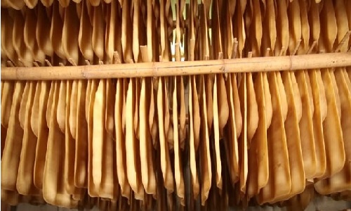 Thái Lan cân nhắc giao dịch cao su tương lai bằng đồng USD 